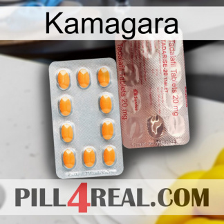 Kamagara new13